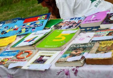 El negativo e innecesario avance gubernamental sobre la Ley del libro